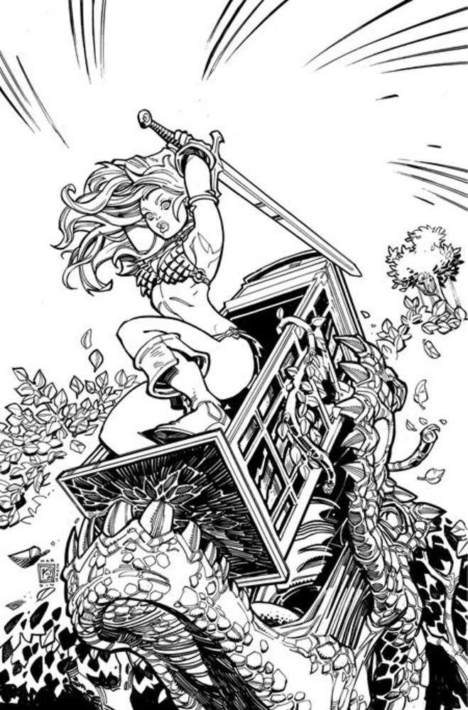 Sonja Reborn #2 Cover J Inc 1:15 Chad Hardin Line Art Full Art Variant