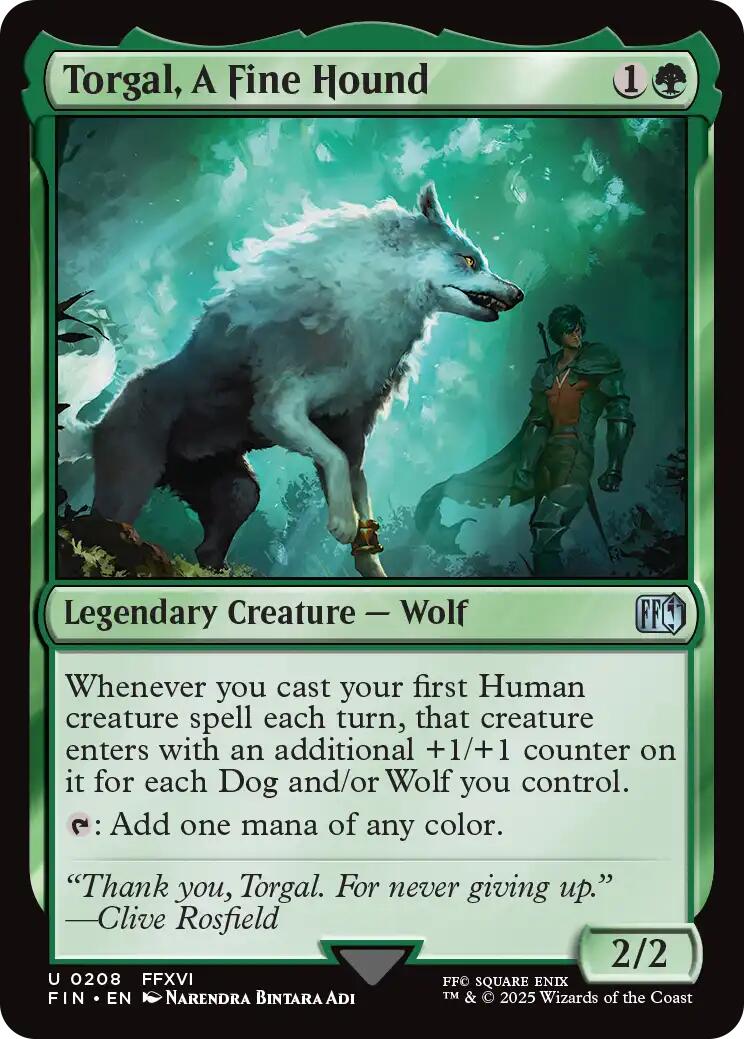 Torgal, A Fine Hound